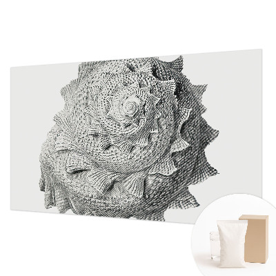 Fototapete fürs Wohnzimmer Die Kunst der Natur