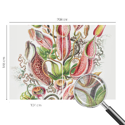 Fototapete fürs Schlafzimmer Pflanzendetails