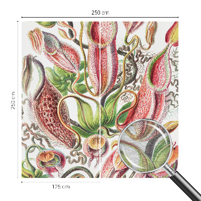 Fototapete fürs Schlafzimmer Pflanzendetails