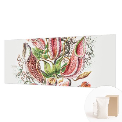 Fototapete fürs Schlafzimmer Pflanzendetails