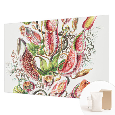 Fototapete fürs Schlafzimmer Pflanzendetails