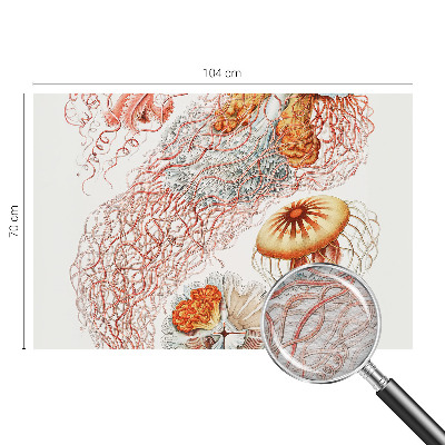 Motivtapete aus Vlies Zierqualle