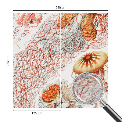 Motivtapete aus Vlies Zierqualle