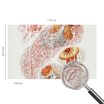 Motivtapete aus Vlies Zierqualle