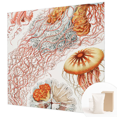 Motivtapete aus Vlies Zierqualle