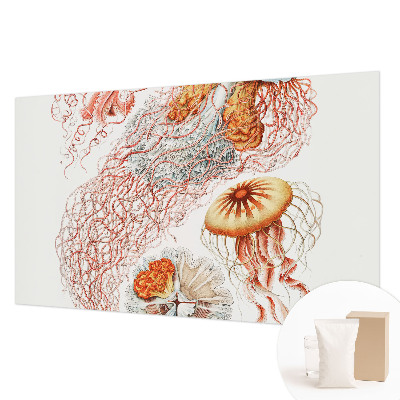 Motivtapete aus Vlies Zierqualle