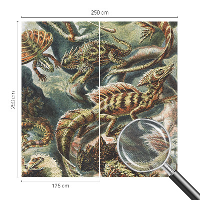 Fototapete fürs Kinderzimmer Exotische Reptilien