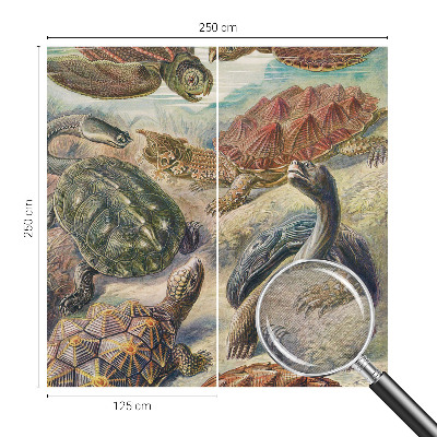 Vlies-Fototapete nach Maß Schildkrötenfauna