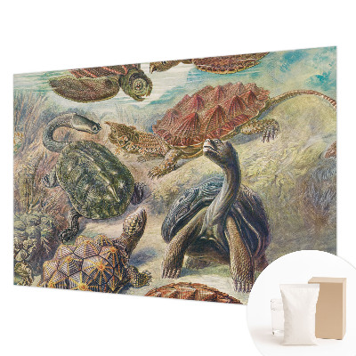 Vlies-Fototapete nach Maß mit Motiv der Schildkrötenfauna