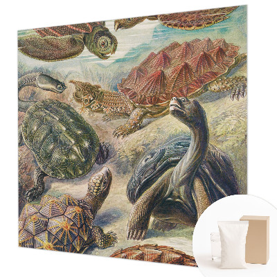 Vlies-Fototapete nach Maß mit Motiv der Schildkrötenfauna