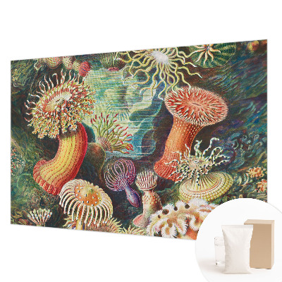Vlies-Fototapete fürs Wohnzimmer mit Motiv Zieranemonen