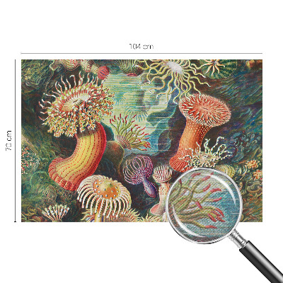 Vlies-Fototapete fürs Wohnzimmer mit Motiv Zieranemonen