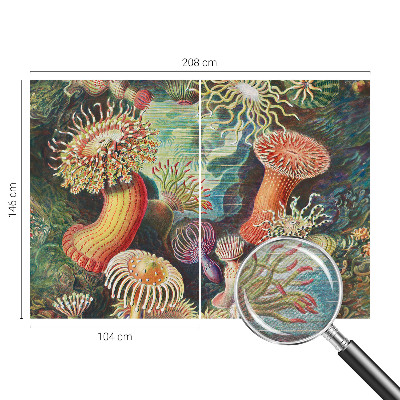 Vlies-Fototapete fürs Wohnzimmer mit Motiv Zieranemonen