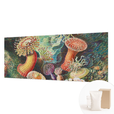 Vlies-Fototapete fürs Wohnzimmer mit Motiv Zieranemonen