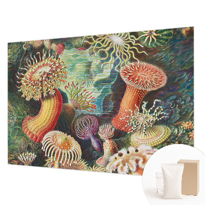 Vlies-Fototapete fürs Wohnzimmer mit Motiv Zieranemonen