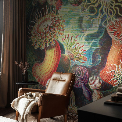 Vlies-Fototapete fürs Wohnzimmer Zieranemonen