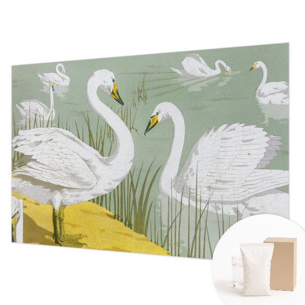 Vlies-Fototapete fürs Schlafzimmer Schwanensee