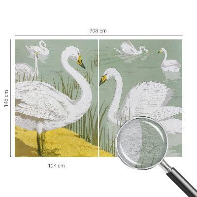 Vlies-Fototapete fürs Schlafzimmer Schwanensee