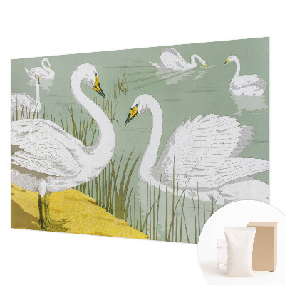 Vlies-Fototapete fürs Schlafzimmer Schwanensee