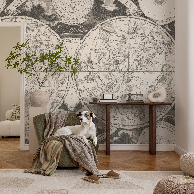 Vliestapete fürs Wohnzimmer mit Motiv einer Sternenkarte