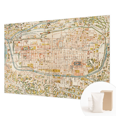 Vliestapete fürs Schlafzimmer Antike Karte