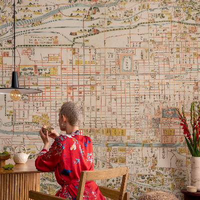 Vliestapete fürs Schlafzimmer Antike Karte