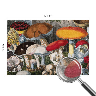 Wand-Fototapete mit botanischem Pilzmotiv
