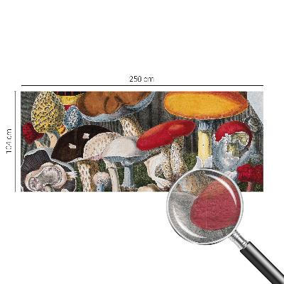 Wand-Fototapete Botanische Pilze