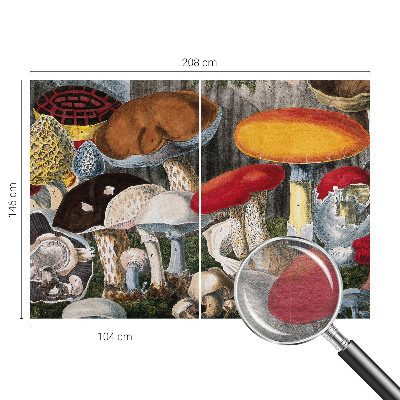 Wand-Fototapete Botanische Pilze