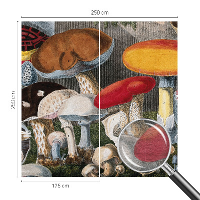 Wand-Fototapete Botanische Pilze