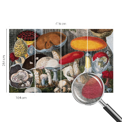 Wand-Fototapete Botanische Pilze