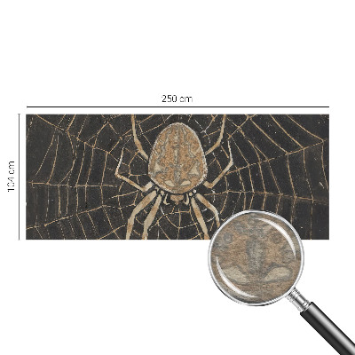 Fototapete nach Maß Spinnennetz