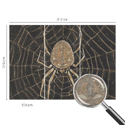 Fototapete nach Maß Spinnennetz