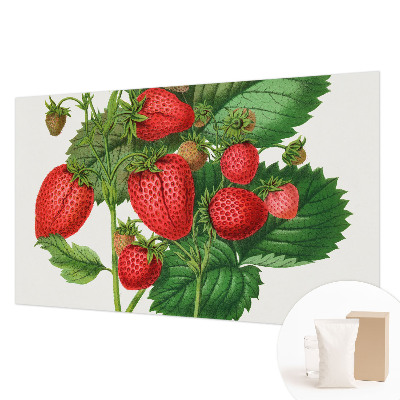 Wandtapete mit sommerlichen Früchten als Motiv