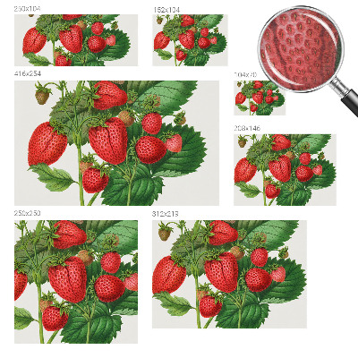 Wandtapete Sommerfrüchte