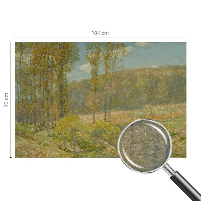 Vlies-Fototapete nach Maß mit einer Waldlandschaft