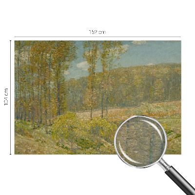 Vlies-Fototapete nach Maß mit einer Waldlandschaft
