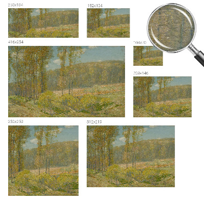 Vlies-Fototapete nach Maß mit einer Waldlandschaft