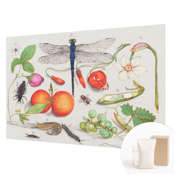 Dekorative Wand-Fototapete Naturillustration