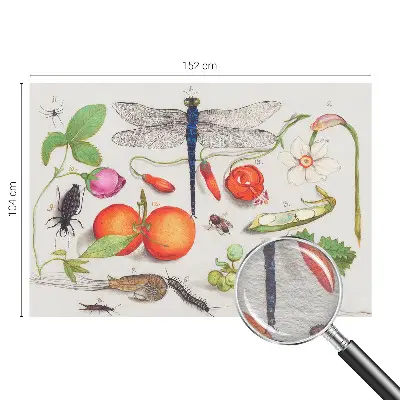 Dekorative Wand-Fototapete mit einer Naturillustration