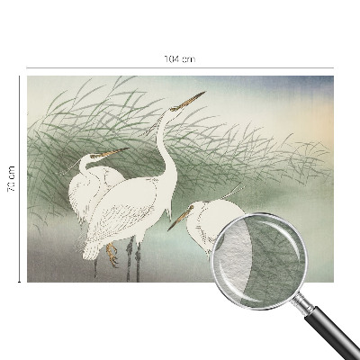Vlies-Fototapete mit dem Motiv eines Reihers im Gras