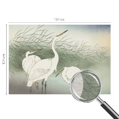 Vlies-Fototapete mit dem Motiv eines Reihers im Gras