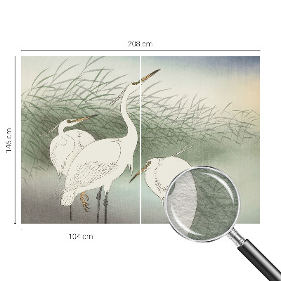 Vlies-Fototapete mit dem Motiv eines Reihers im Gras
