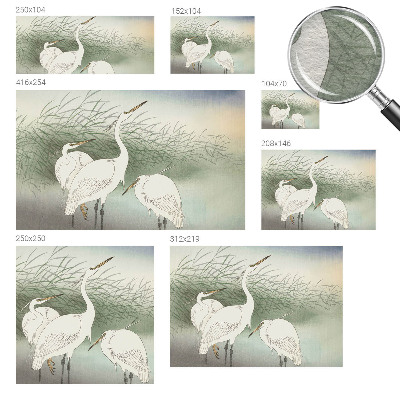 Vlies-Fototapete Reiher im Gras