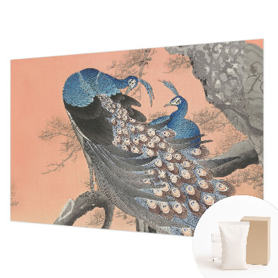 Fototapete fürs Kinderzimmer Pfaueneleganz