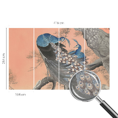 Fototapete fürs Kinderzimmer Pfaueneleganz