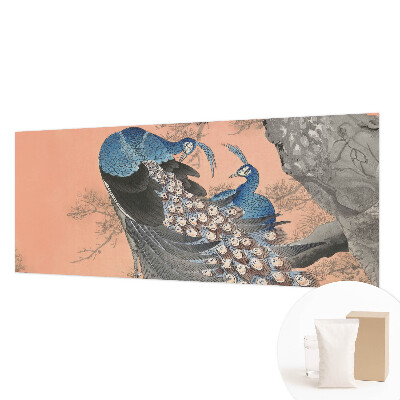 Fototapete fürs Kinderzimmer Pfaueneleganz