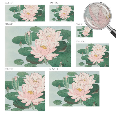 Fototapete fürs Schlafzimmer Wasserlotus