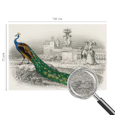 Motivtapete aus Vlies Bunte Federn