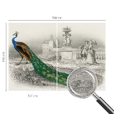 Motivtapete aus Vlies Bunte Federn